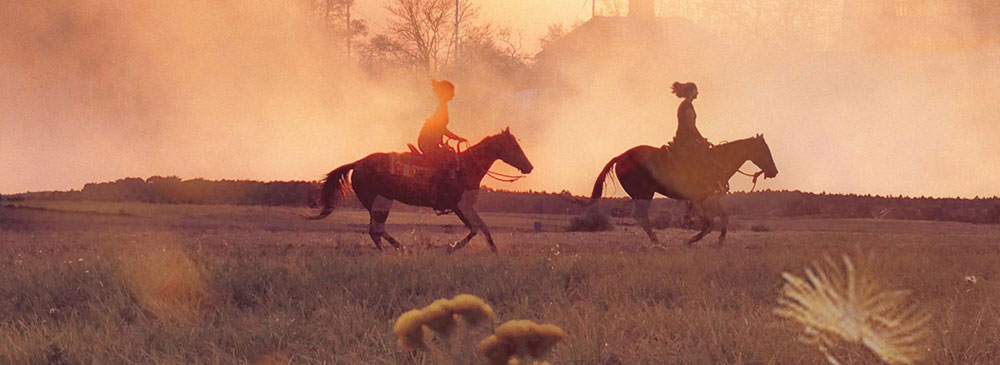 Do you offer tourism related or other activities?  Promote your Vancouver area business in our Connect Vancouver online business directory website.